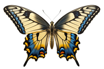 Yellow and blue butterfly isolated on transparent background