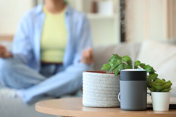 Air humidifier with plants on table in living room, closeup