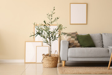 Interior of modern living room with grey sofa, olive tree and blank frame hanging on beige wall