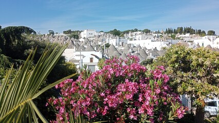 Fototapeta premium I Trulli di Alberobello Puglia Italia 