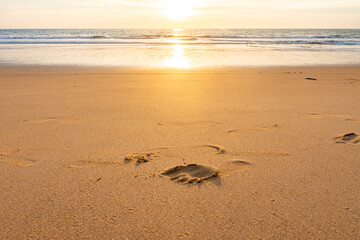 Obraz premium Foot print on sand and shell on beach Copy space