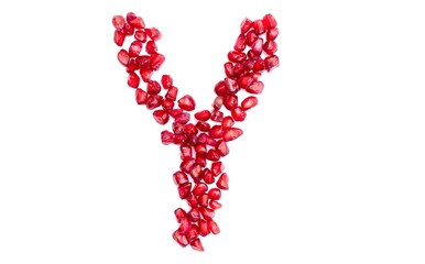 Y English Alphabet Capital Letter Written with Pomegranate Seeds Isolated on White Background, Kindergarten Children Education Concepts