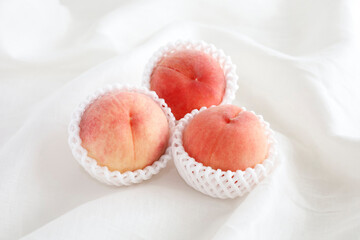 白背景の桃　ふんわりソフトなイメージ