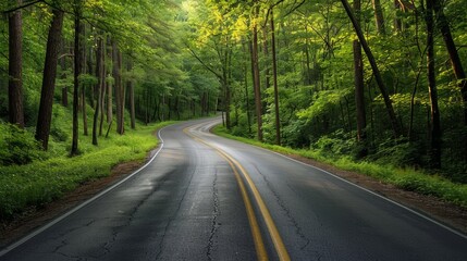 Obraz premium Winding road through lush forest, symbolizing sustainability and green energy