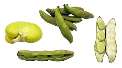 空豆素材・切り抜き・PNG／Broad bean material/cutout/PNG／빈콩 소재, 자르기, PNG