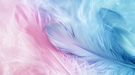 Obraz premium Delicate pastel pink and purple feathers with a soft and dreamy texture. Ethereal and serene concept.