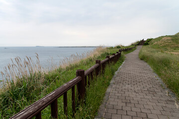 Obraz premium View of the walkway at the seaside on a cloudy day