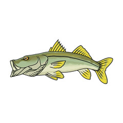 snook fishing illustration logo vector image t shirt