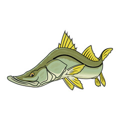 snook fishing illustration logo vector image t shirt