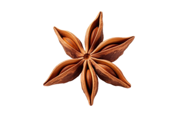 Close-up of a star anise spice isolated on white background, showcasing its detailed, unique shape and vibrant brown color.
