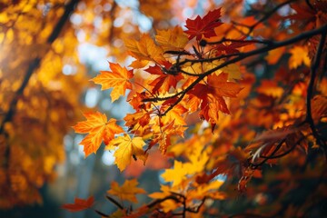 Beautiful yellow red and orange leaves in an autumn park, an Autumn background with falling leaf's in a red and orange color, AI generated