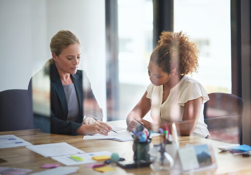 Woman, client and financial advisor in meeting for contract, discussion and consulting for investment. Glass, explain or accountant in office speaking of advice or compliance for terms and conditions