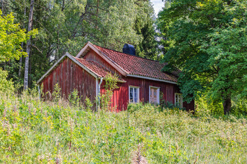 Old abandoned red croft in a forest glade © Lars Johansson