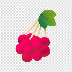 Viburnum icon vector design in eps 10