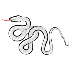 白蛇のイラスト