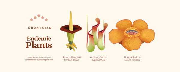 Isolated Indonesian endemic plants illustration cell shaded style