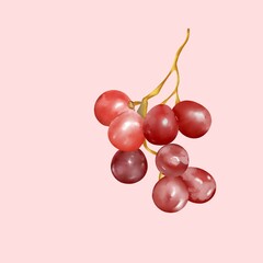 red grapes on a branch