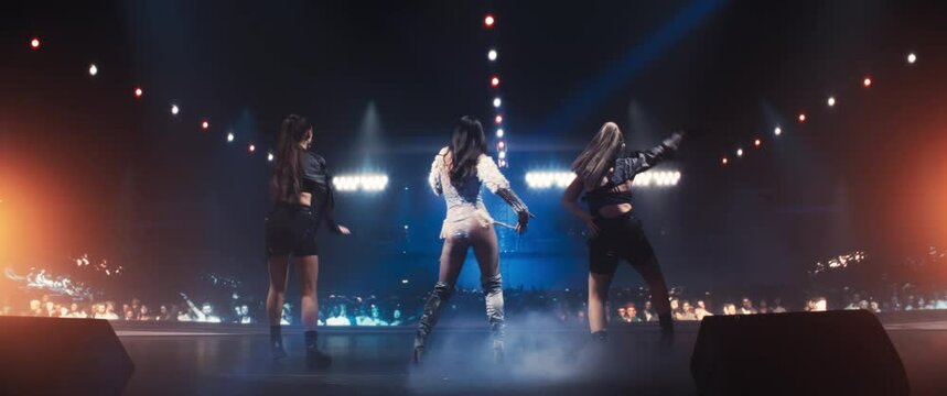 Back View of a Pop Music Artist Performing a Hit Song on Stage in Front of a Sold-Out Audience. Her Charismatic Stage Presence, Dance Show and Lyrics Electrify the Diverse Music Fans. Anamorphic Shot