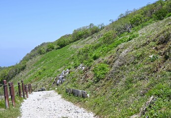 登山道