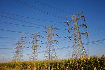 High voltage electric tower line