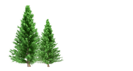 christmas tree isolated on white