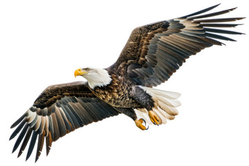 A large eagle is flying in the sky