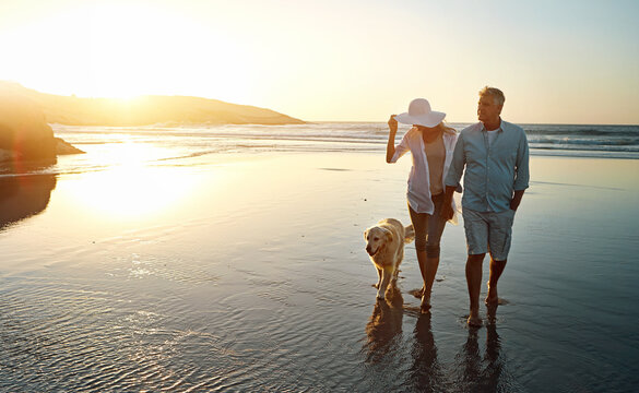 Senior couple, beach and walking with dog in sunset for romance, love or bonding together in nature. Man, woman or lovers holding hands in outdoor sunshine on water or ocean coast with pet or animal