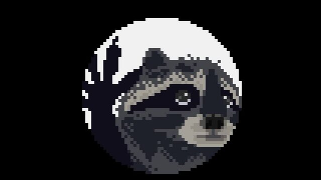 Pedro raccoon, pixel art meme animation
