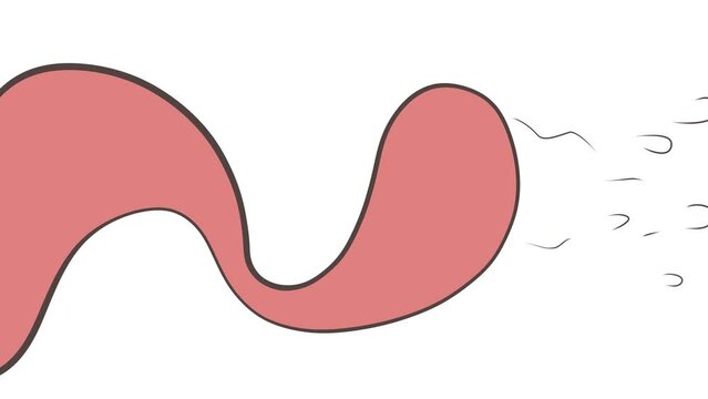 The long tongue or pink appendage extends horizontally, spitting saliva or drops of liquid.