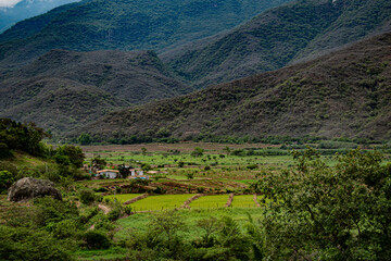 rice terraces in mountains