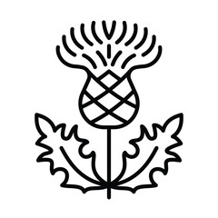 Thistle icon. The prickly purple burdock sign. Flowering weed with inflorescence and leaves sharp prickles on the margins. Medicinal plant icon in minimalist style. Editable strokes, thin line, for la