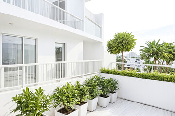 Modern balcony with potted plants