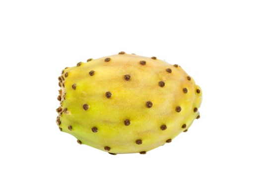 fresh opuntia or cactus fruit isolated on a white background