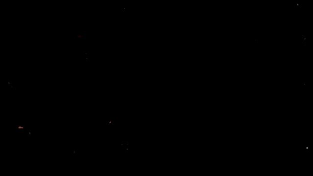 Old film overlay, Splotches, Light Scratches, Dust, Subtle imperfections to add a sense of age and authenticity. Black screen