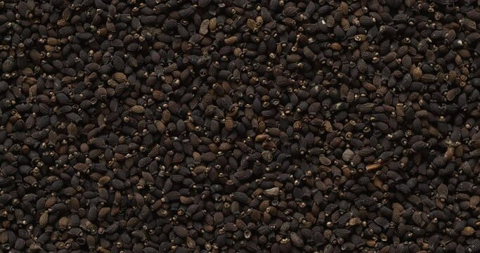 Close-up view of borage (Borago officinalis) seeds as an abstract texture. Rotation around the center point.