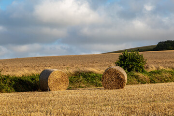 Fototapeta premium Two bales of straw in a newly harvested field, on a sunny evening in Sussex