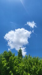 a cloud that is in the sky with the sun shining through it.