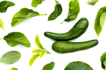 Long avocado fruit, Fresh long neck avocado