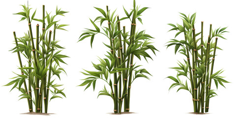 Obraz premium A row of five green bamboo plants growing in small stone pots against a white background