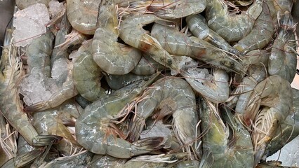 Close up fresh prawn, fresh shrimp seafood on with ice