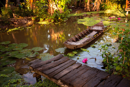 Old wooden rowing boat in pond with green plants