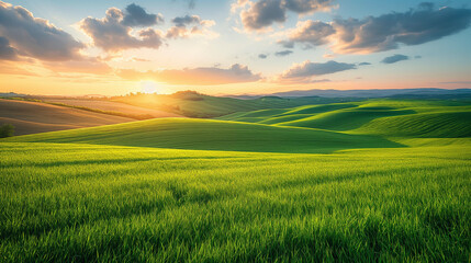 Obraz premium Perfect field of spring grass,