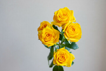 ゴールドダスト