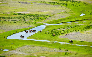 The lush Orkhon Valley and the herds of horses and sheep gathering by the pristine river