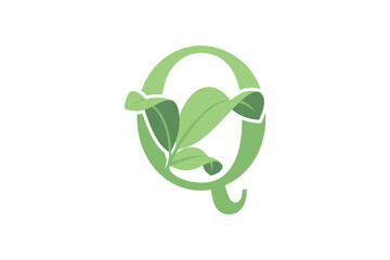leaf design with letter q concept