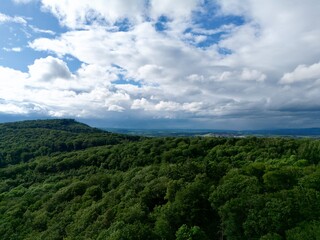 Obraz premium Drone view of forest and sky