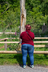 A woman in a red sweater and blue jeans is looking at a tree trunk