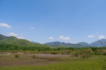 日光　戦場ヶ原　Nikko Senjogahara