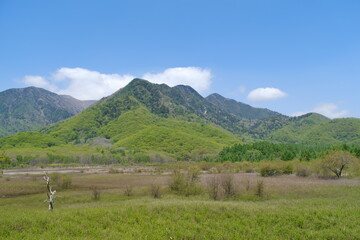 Naklejka premium 日光 戦場ヶ原 Nikko Senjogahara