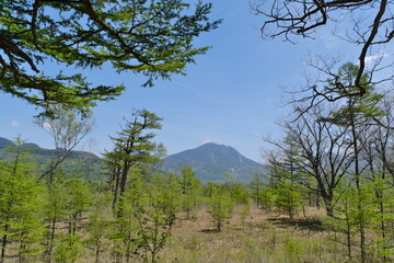 日光　戦場ヶ原　Nikko Senjogahara